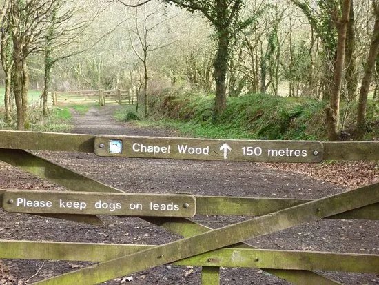 RSPB Chapel Wood Nature Reserve