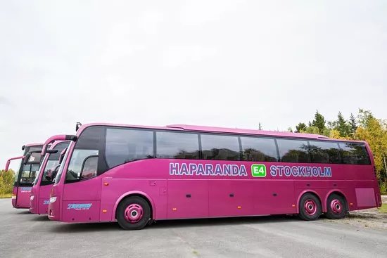 Tapanis Buss
