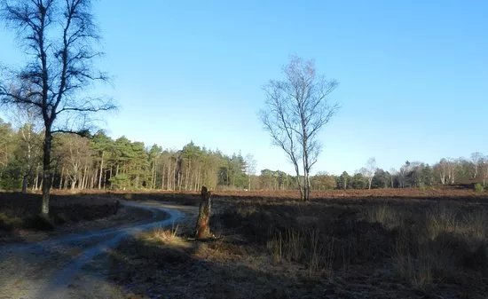 Renderklippen natuurgebied