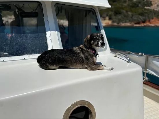 Fishing Tourism Alexandros