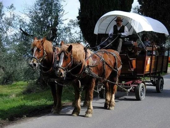 I Cocchieri di' Chianti