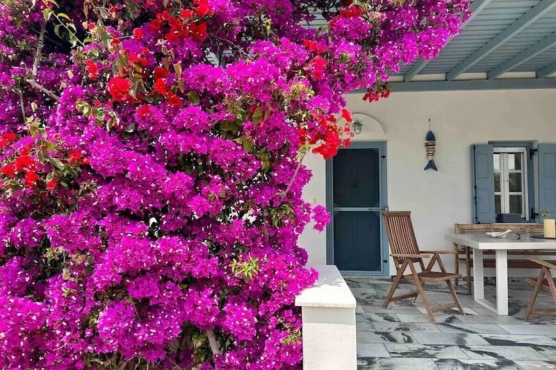 Seaside Naxos : Villa Dimitra 3 BDR ensuite At Plaka Beach
