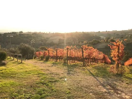 Azienda Agraria Brunozzi