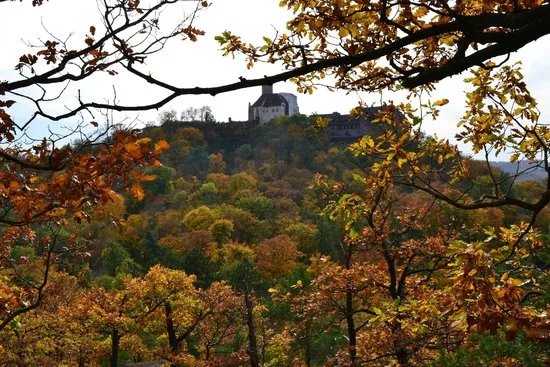Metilstein