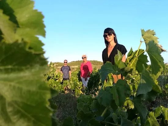 Tobelos Bodegas y Vinedos