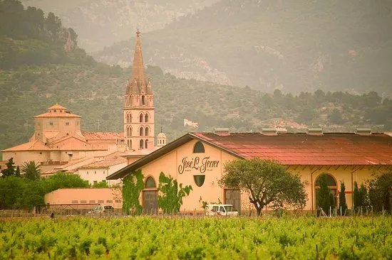 Bodegas Jose L Ferrer
