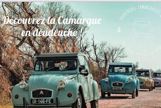 Deudeuches Camarguaises - Safari en 2cv