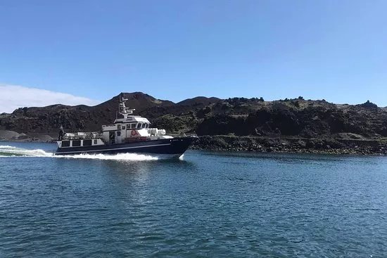 Boat Tours in Vestmannaeyjar