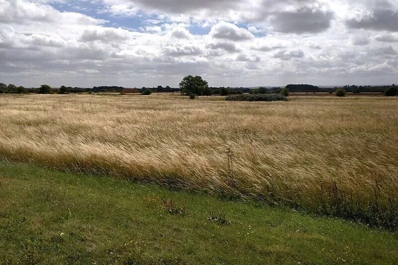 Beautiful Cotswold Farmhouse set in 50 acres