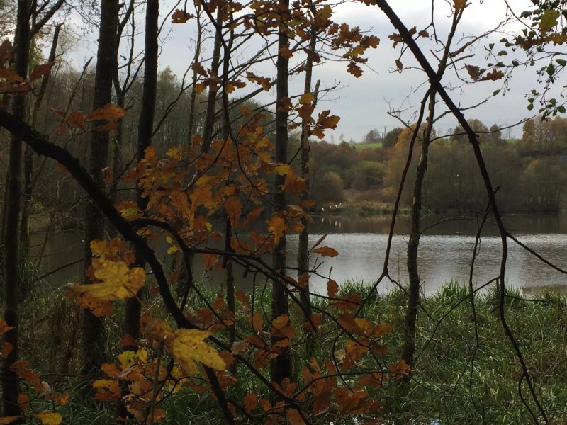 Zellmuhle am Haune-Stausee