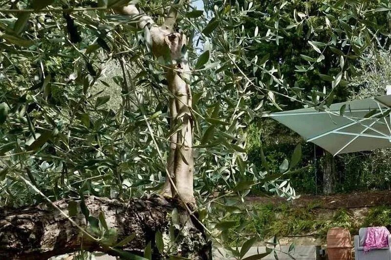 Villa private-pool, tennis, relaxing, rural, near 'Piazza il Campo', Siena,