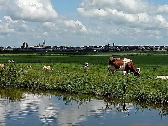 Sint-Petrus en Pauluskerk Reeuwijk