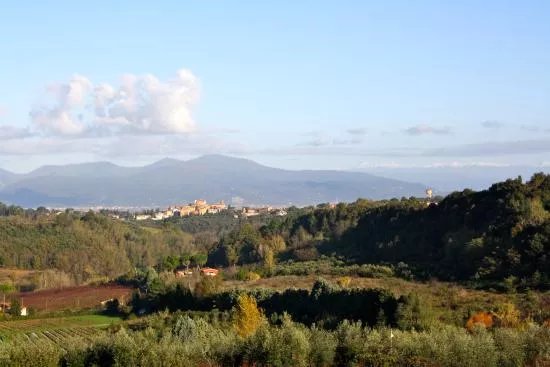 Cantina Giuliano