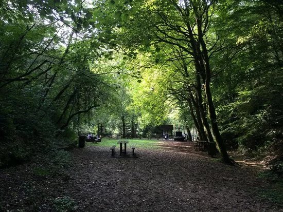 Orto Botanico delle Conifere