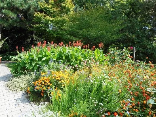 Botanischer Garten