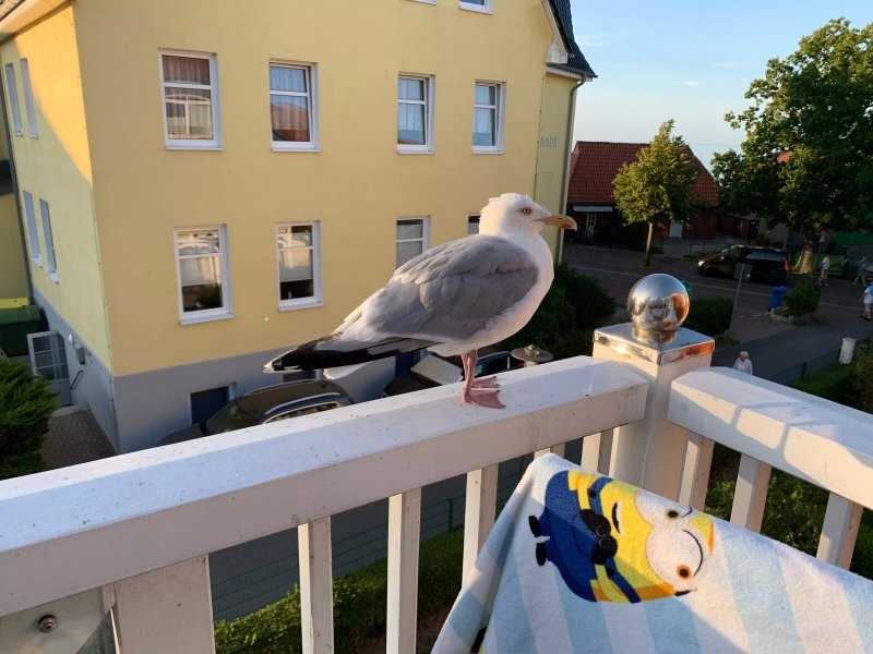 Upstalsboom Ferienwohnungen In Der Apartment-Residenz