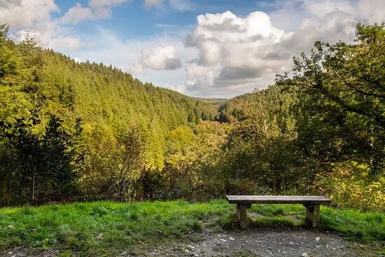 Cardinham Woods