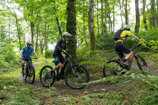 Castlewellan Mountain Bike Trails