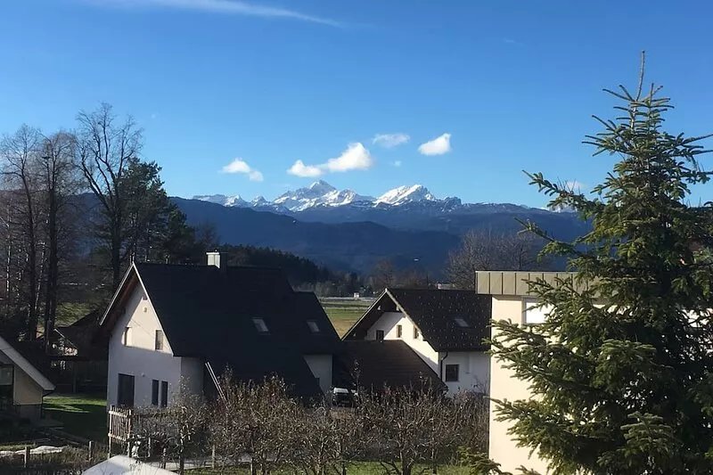 CARNIOLAN HOUSE - free parking, wi-fi, patio, garden...