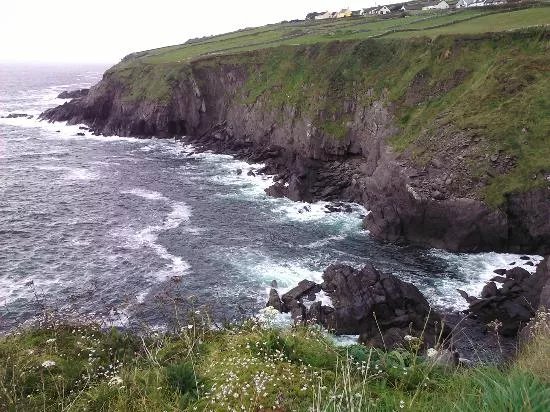 Coastline-Tours- Day Tours