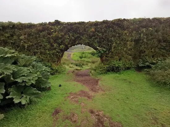 Aqueduto do Carvao