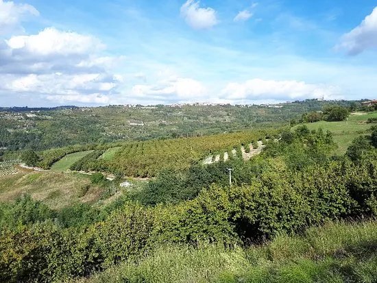 Azienda Agricola Ra Nissora