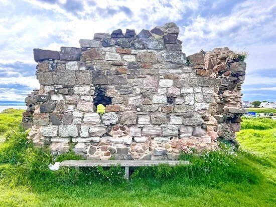 The Fort on the Heugh