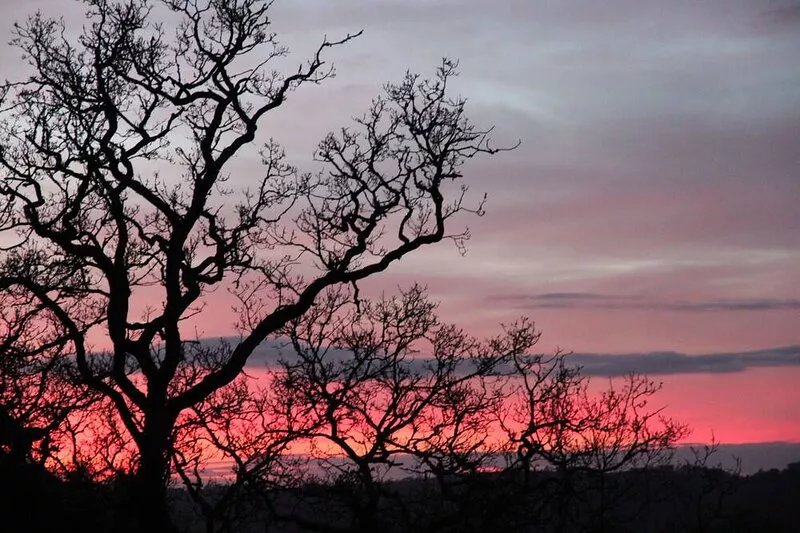 Character Barn, National Park Private courtyard, peaceful, log burner sleeps 4