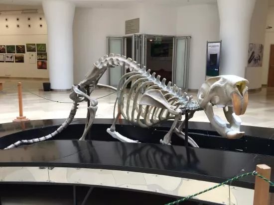Hungarian Natural History Museum