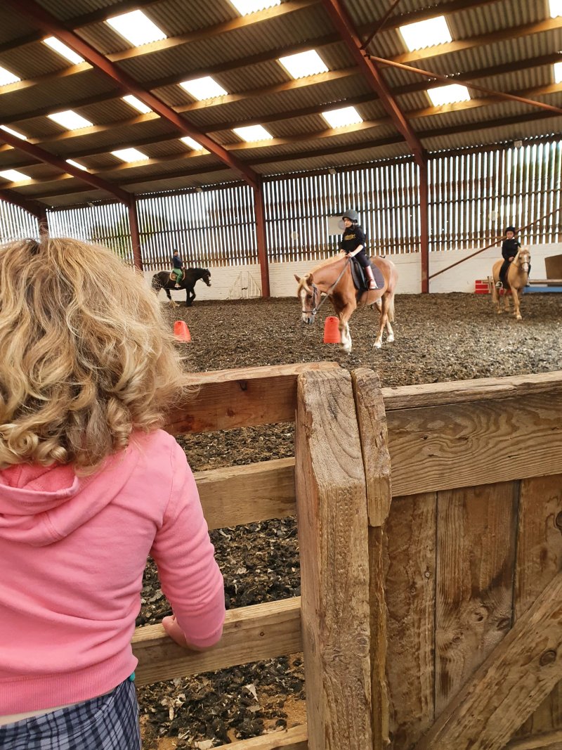 Redwood Riding School