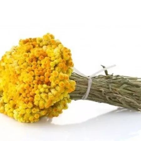 Immortelle Farm Island Krk