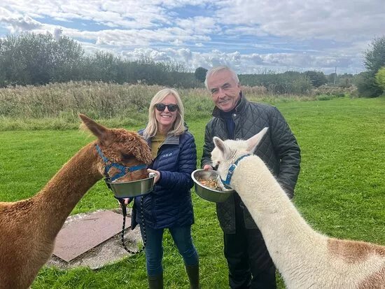 Rack And Ruin Alpacas