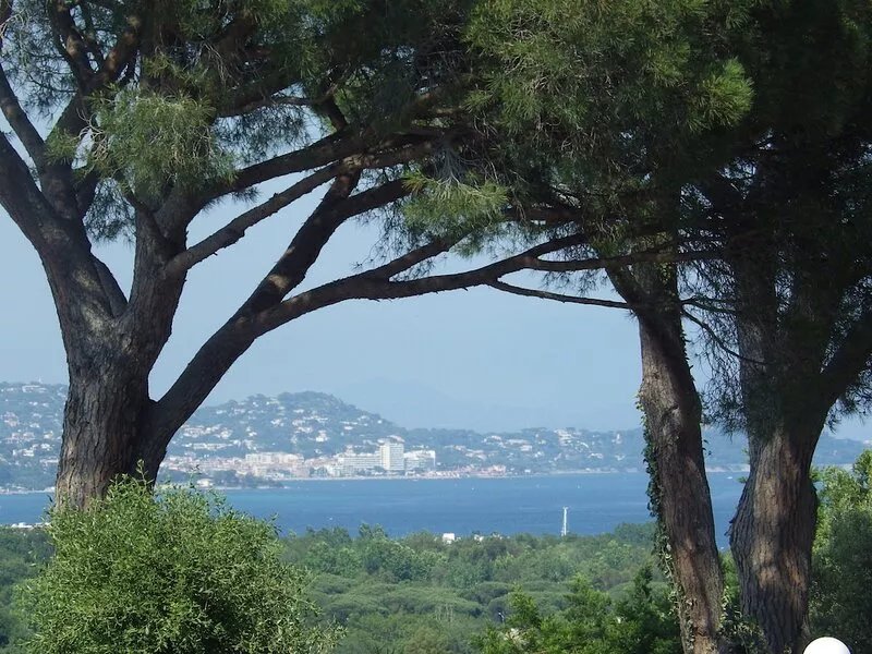 Beautiful Peaceful  Garden Apartment,   near St. Tropez, close to many beaches