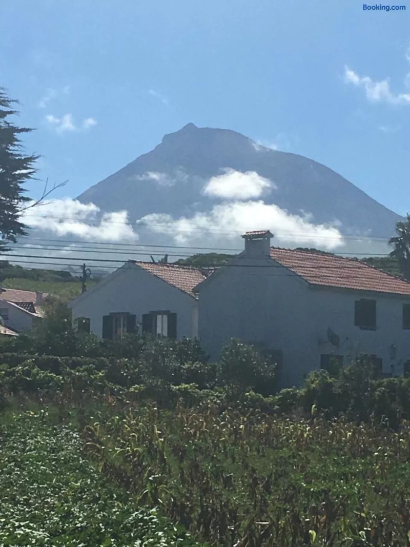 Home Pico - Casa dos Cedros (Alojamento Local)