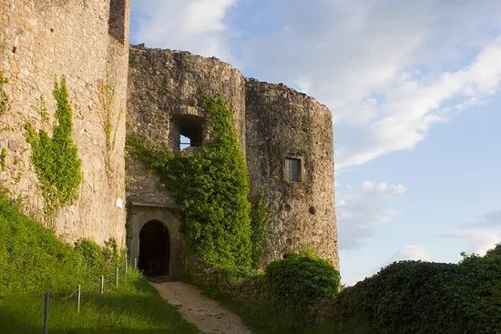 Ruine Dorneck