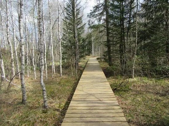 The educational Peat Route