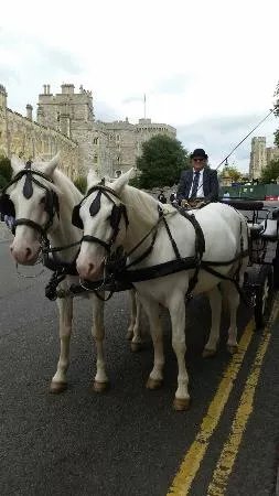 Windsor Town Horse Drawn Carriages