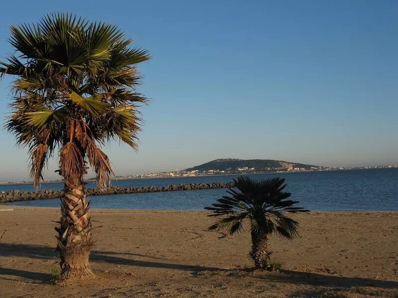 Holiday rental in private garden on the port