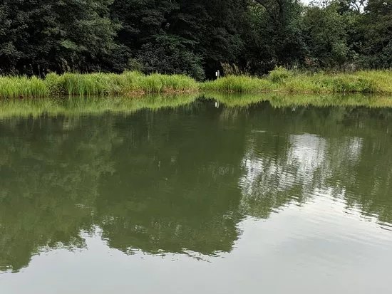 Barlow Lakes