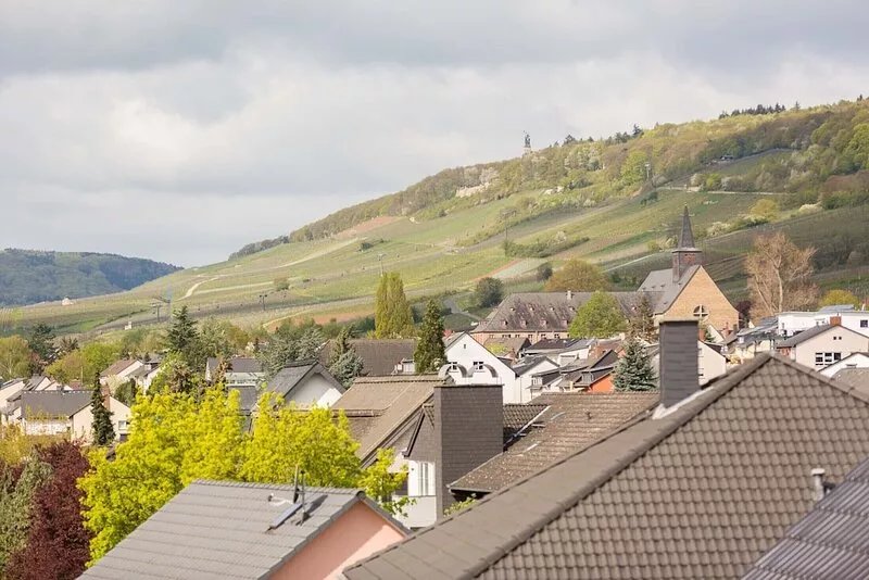 Relaxation in the vineyards - Ferienwohnung Isinger