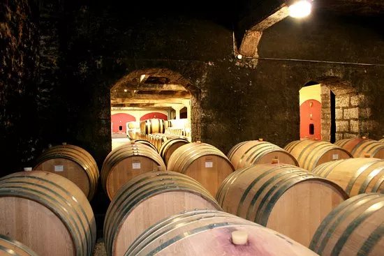 Domaine Guy & Yvan Dufouleur