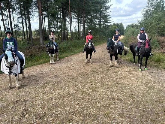 Eastmoors Forest Rides