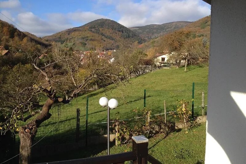House for 7 people on a plot of 3000 m², France (Alsace)