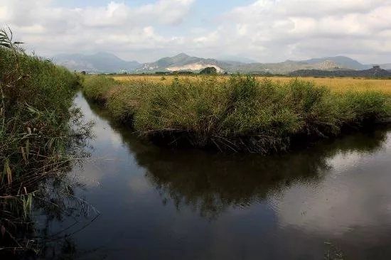 Parque Natural del Marjal de Pego-Oliva