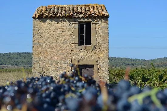 Domaine Terres Georges