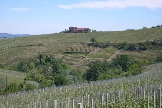 Italian Food and Wine Adventures