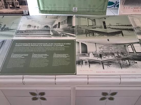 Estacion Enologica
