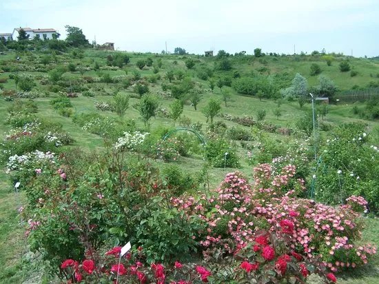 Museo Giardino della Rosa Antica