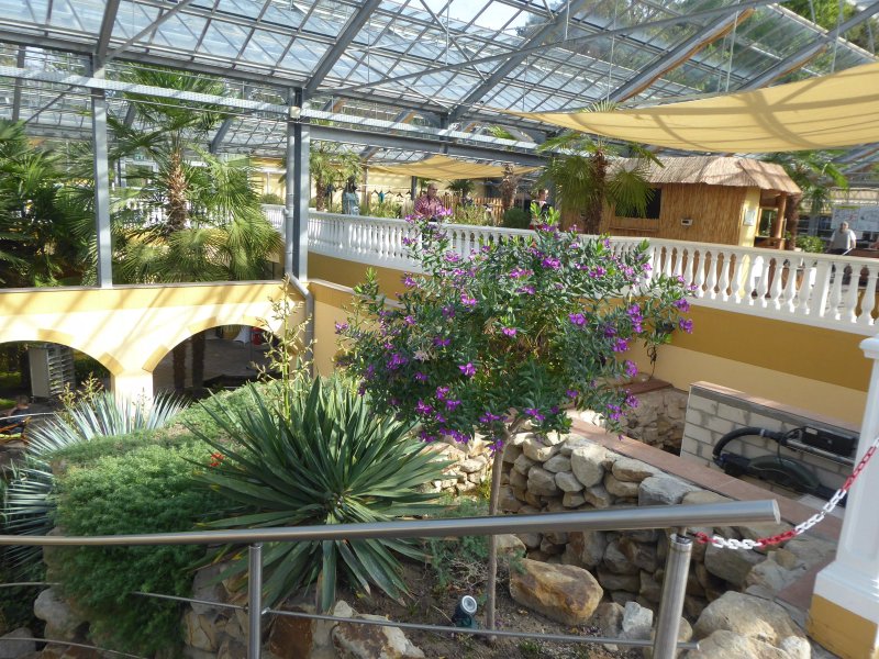 Palmen-Bistro im NaturaGart Park