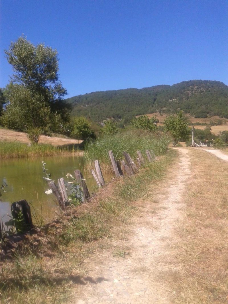 Les Gîtes de la Rimandoule